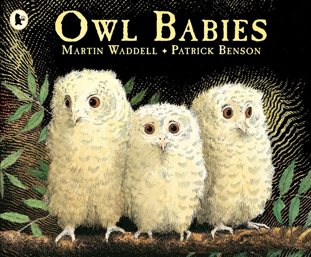 Cover image for Owl Babies, isbn: 9780744531671