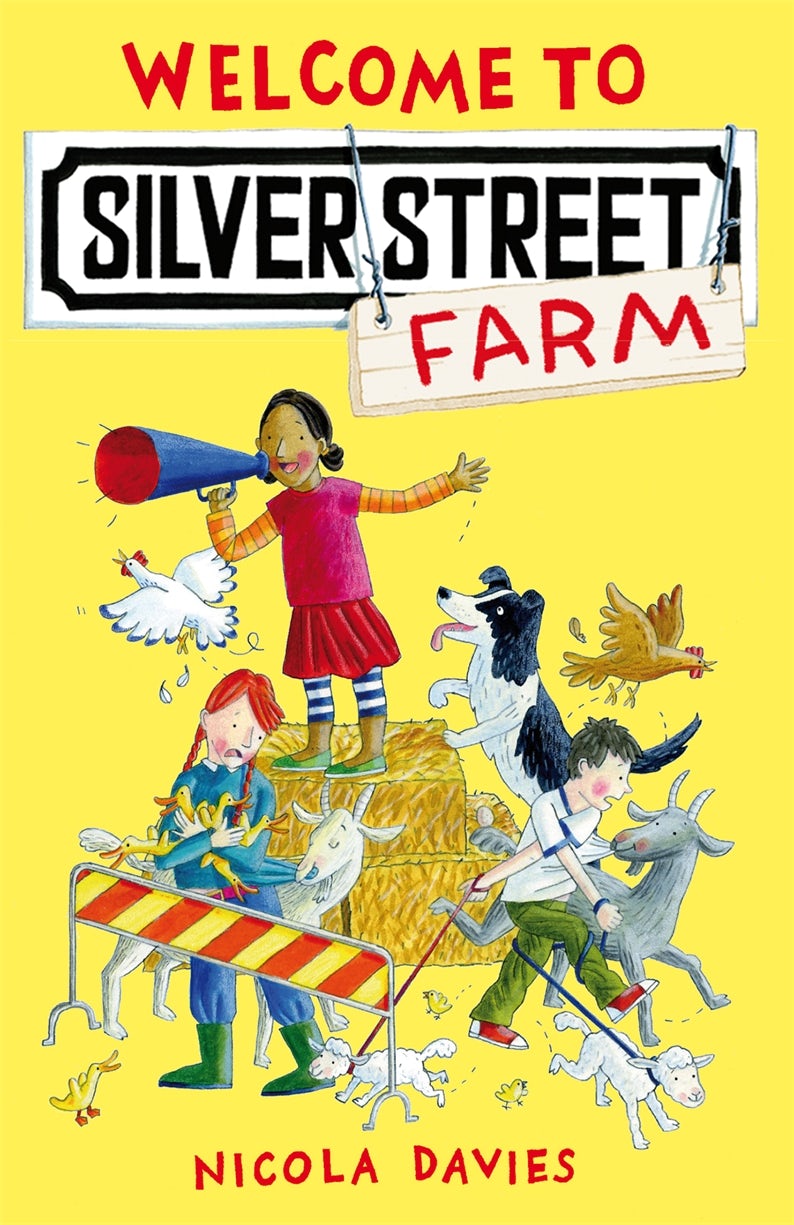 Cover image for Welcome to Silver Street Farm, isbn: 9781406320596