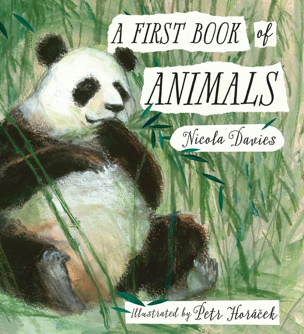 Cover image for A First Book of Animals, isbn: 9781406359633