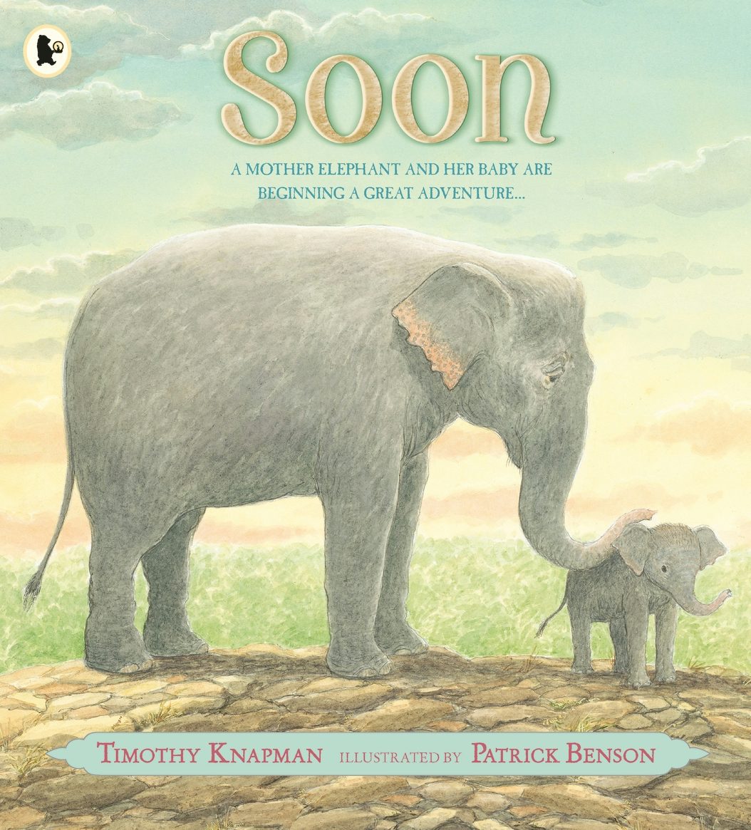 Cover image for Soon, isbn: 9781406365665