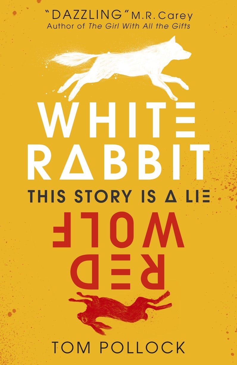 Cover image for White Rabbit, Red Wolf, isbn: 9781406378177