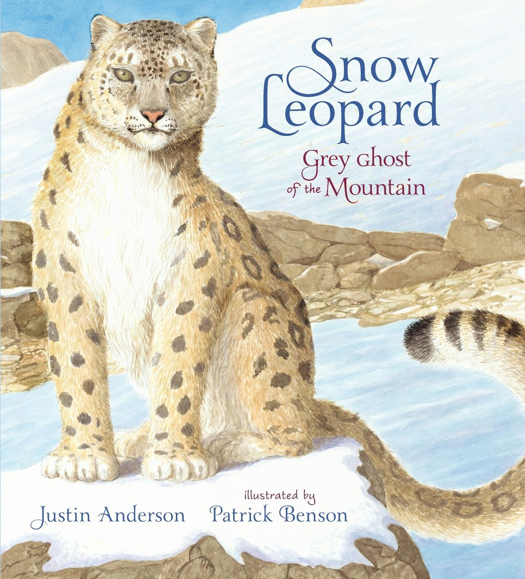 Cover image for Snow Leopard: Grey Ghost of the Mountain, isbn: 9781406378283