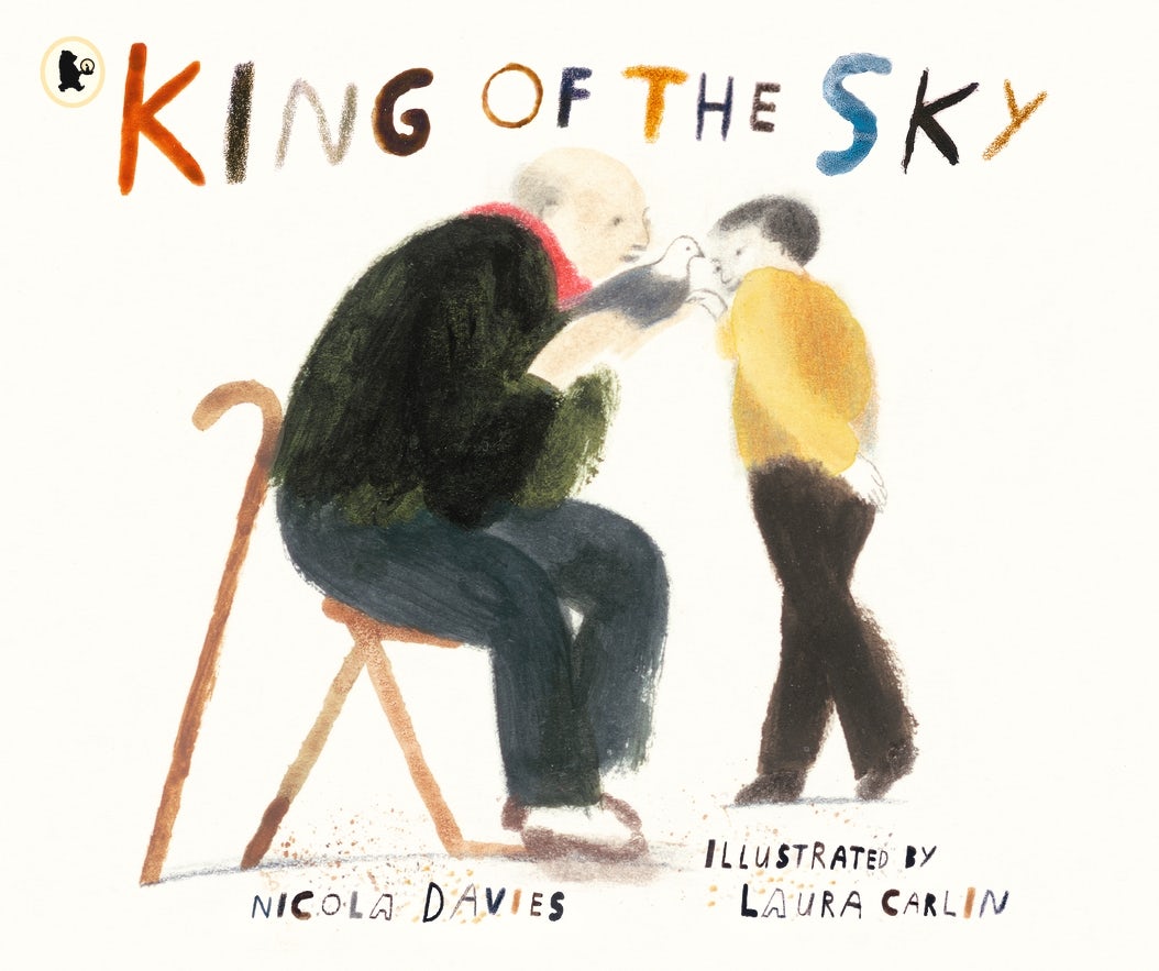 Cover image for King of the Sky, isbn: 9781406379198