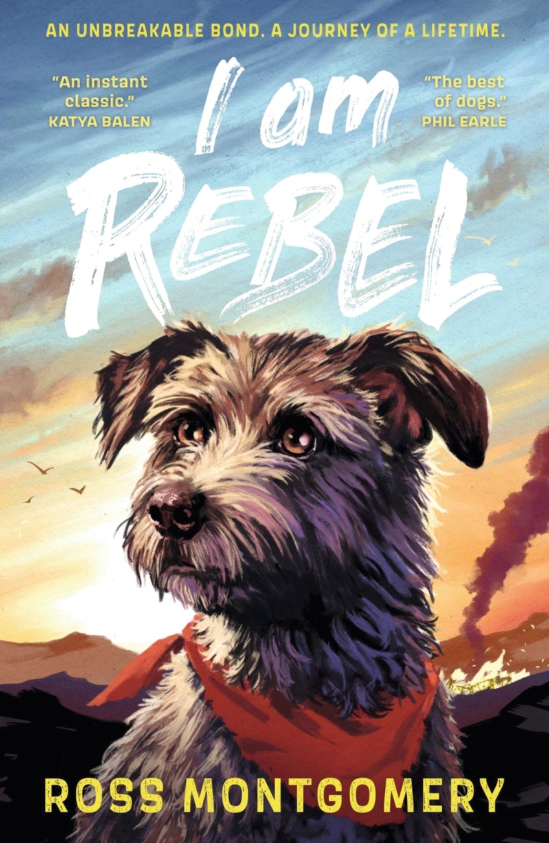 Cover image for I Am Rebel, isbn: 9781529502909