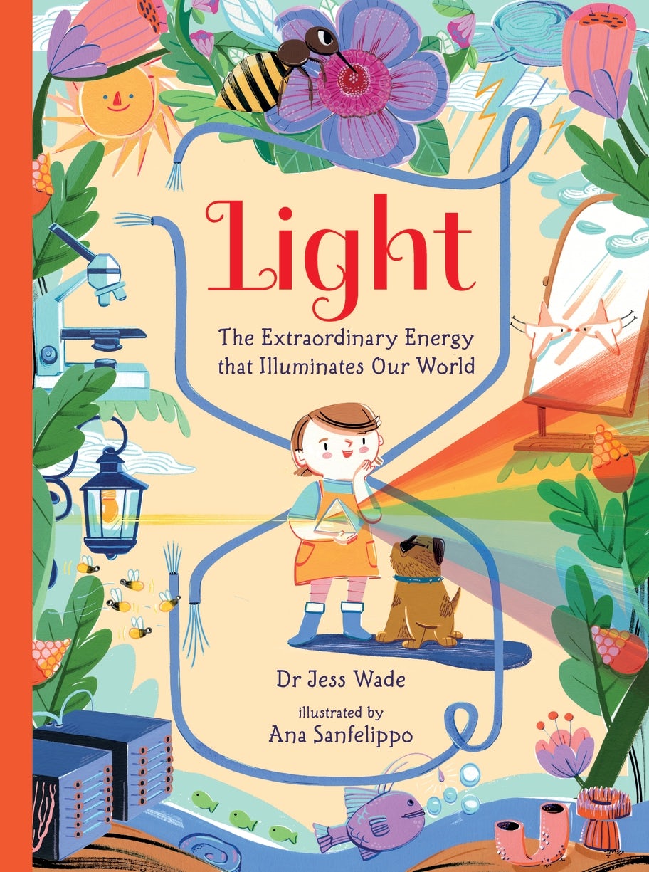 Cover image for Light: The Extraordinary Energy That Illuminates Our World, isbn: 9781529506020