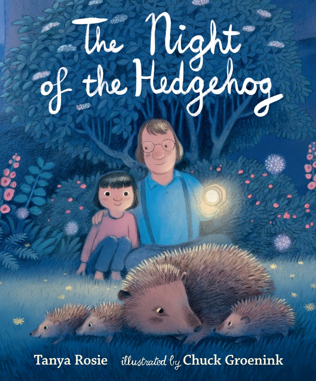 Cover image for The Night of the Hedgehog, isbn: 9781529508000