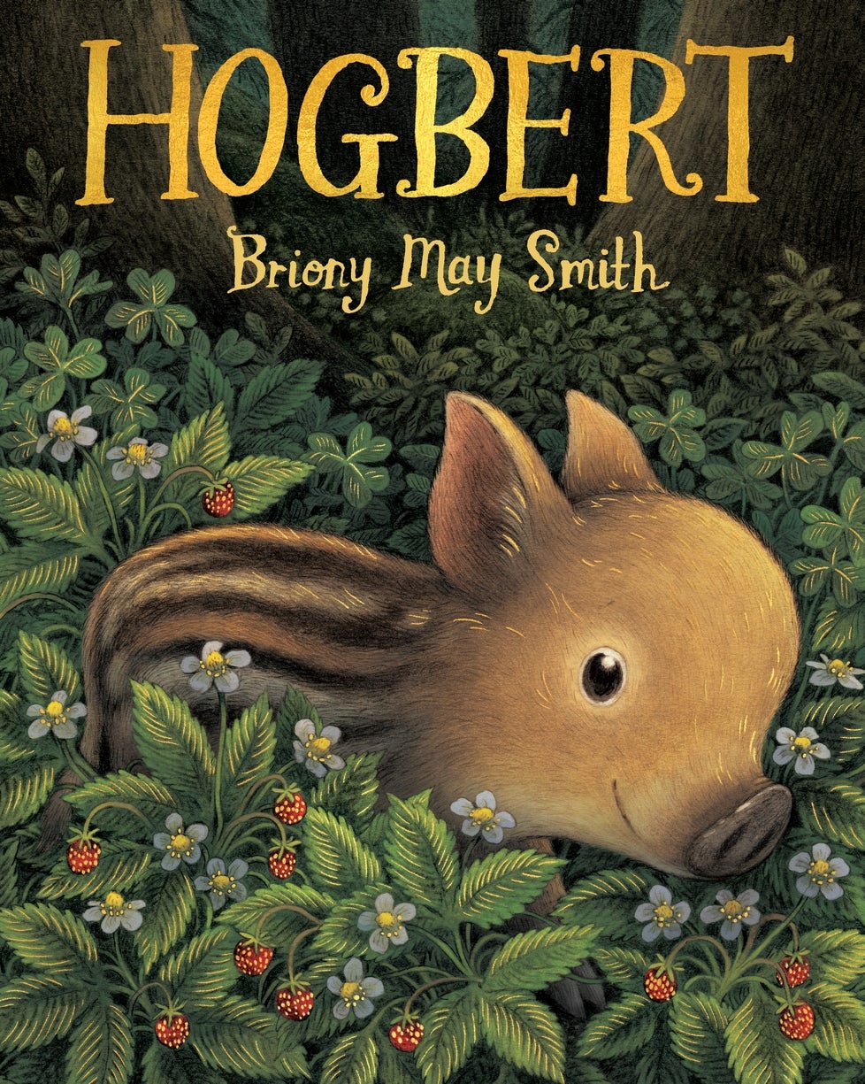 Cover image for Hogbert, isbn: 9781529518351