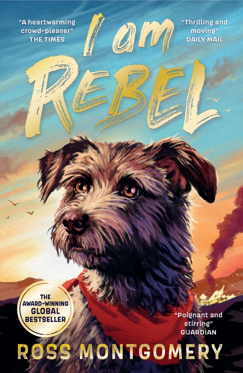 Cover image for I Am Rebel, isbn: 9781529521412