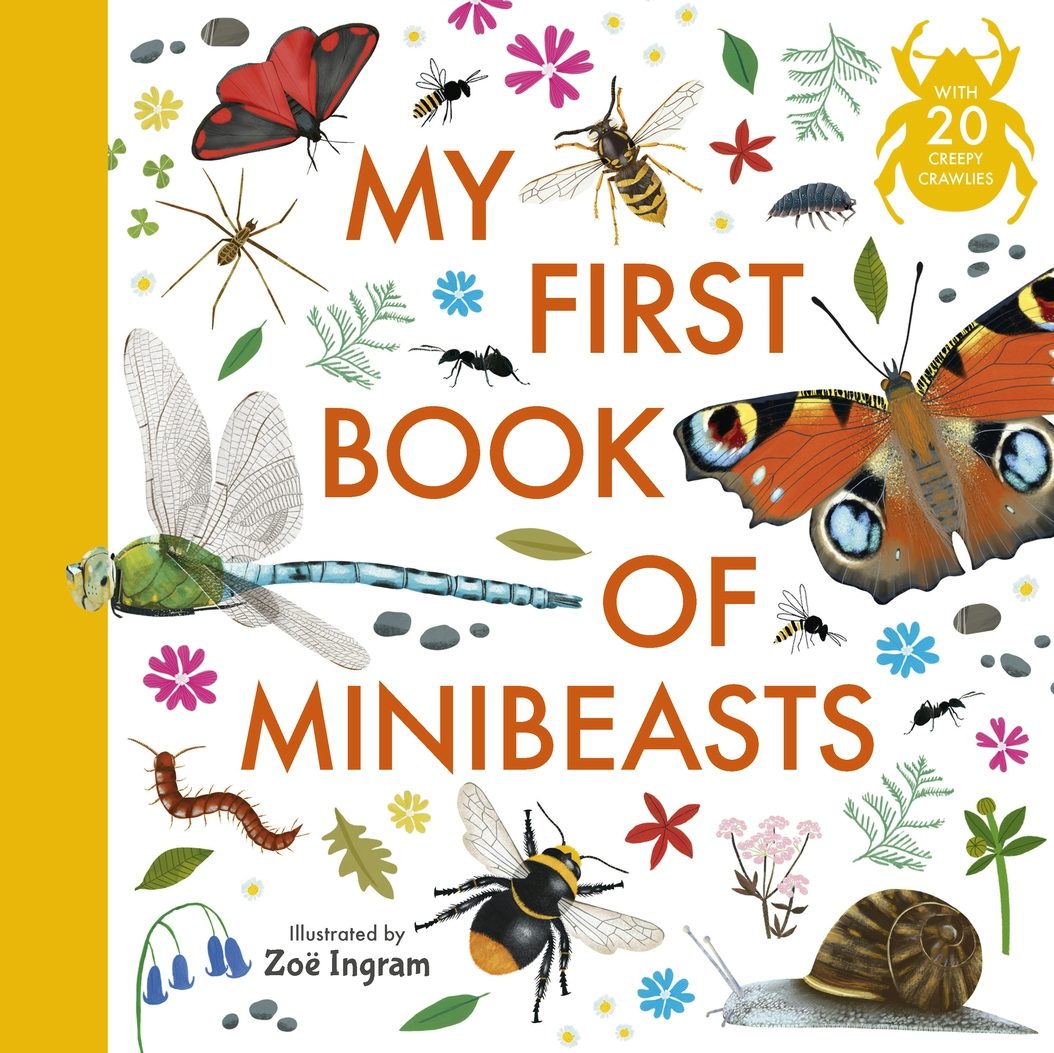Cover image for My First Book of Minibeasts, isbn: 9781529523492