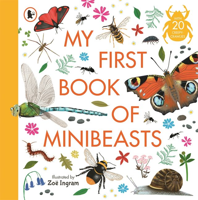 Cover image for My First Book of Minibeasts, isbn: 9781529523492