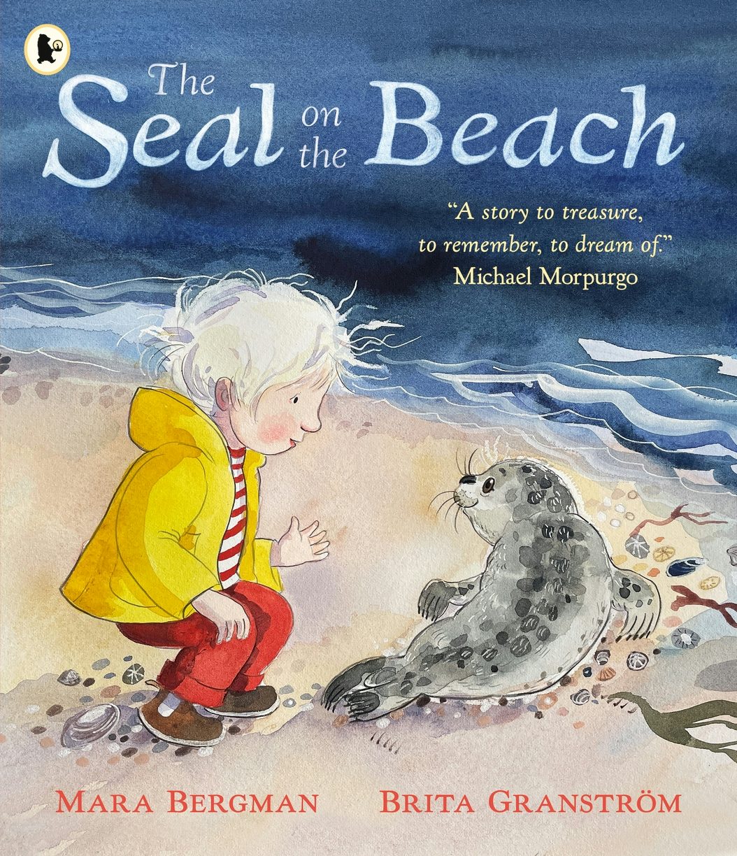 Cover image for The Seal on the Beach, isbn: 9781529523935