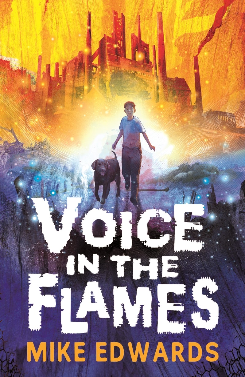 Cover image for Voice in the Flames, isbn: 9781529524000