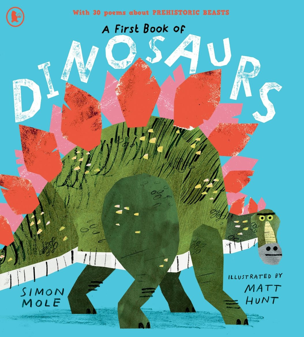 Cover image for A First Book of Dinosaurs, isbn: 9781529524352