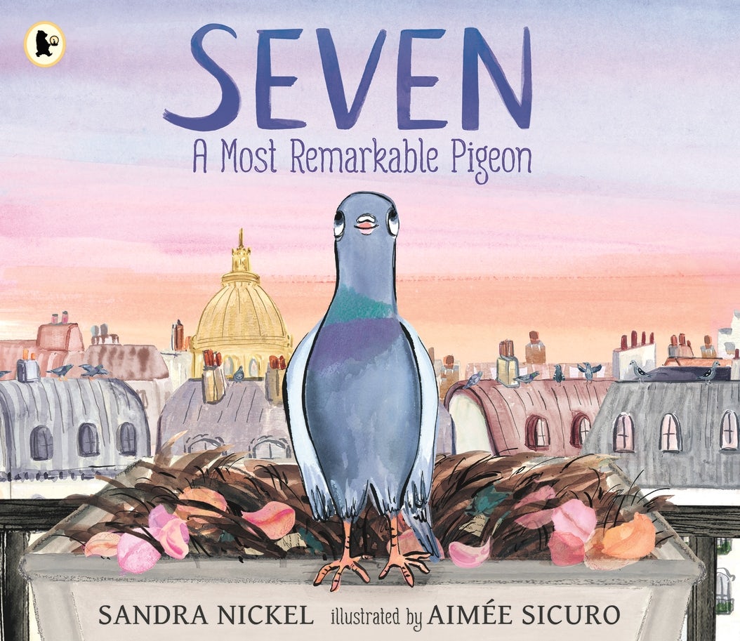 Cover image for Seven: A Most Remarkable Pigeon, isbn: 9781529527339