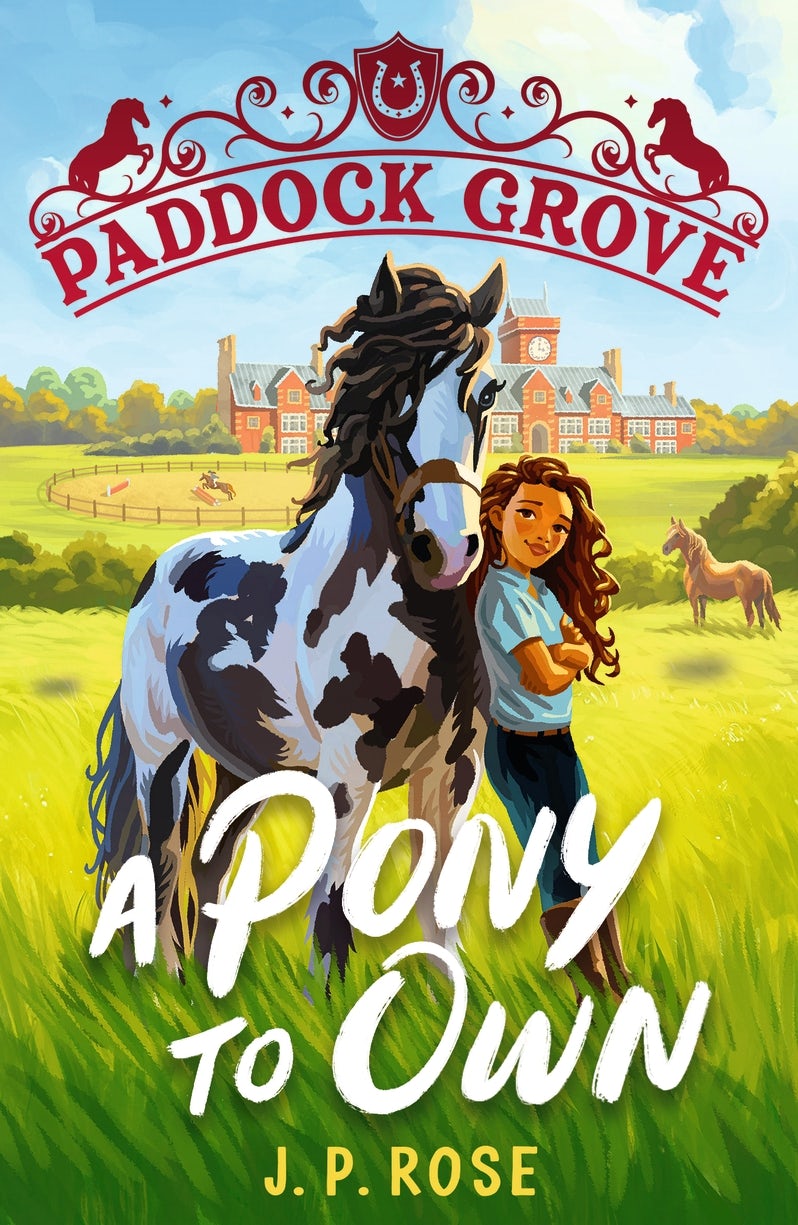 Cover image for Paddock Grove: A Pony to Own, isbn: 9781529529050