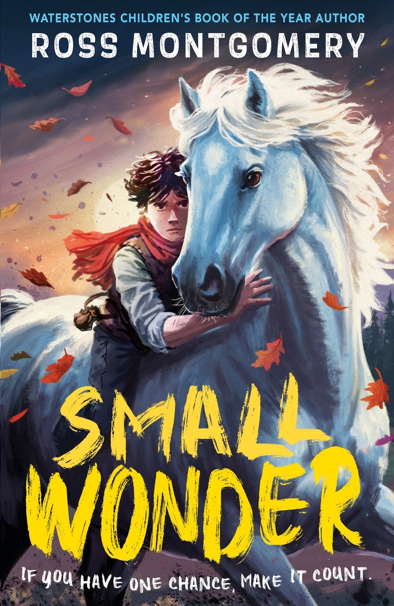 Cover image for Small Wonder, isbn: 9781529529586