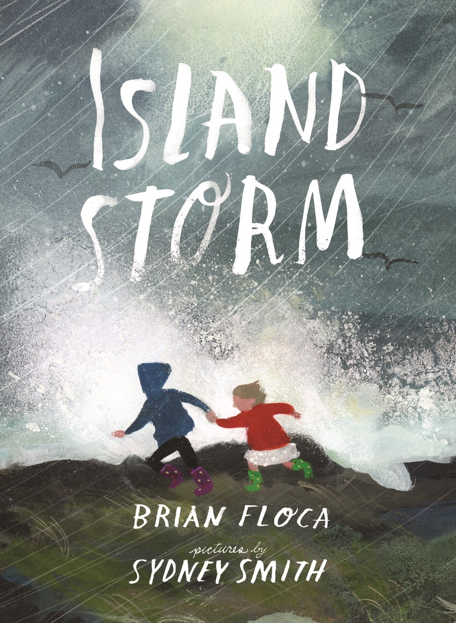 Cover image for Island Storm, isbn: 9781529532654
