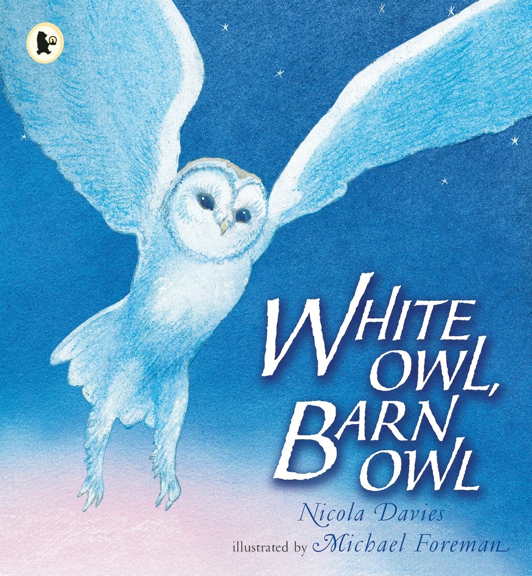 Cover image for White Owl, Barn Owl, isbn: 9781406365443