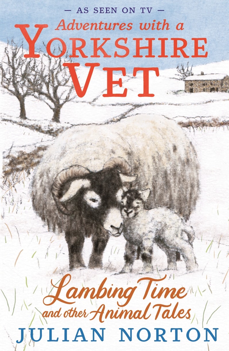 Cover image for Adventures with a Yorkshire Vet: Lambing Time and Other Animal Tales, isbn: 9781529512403