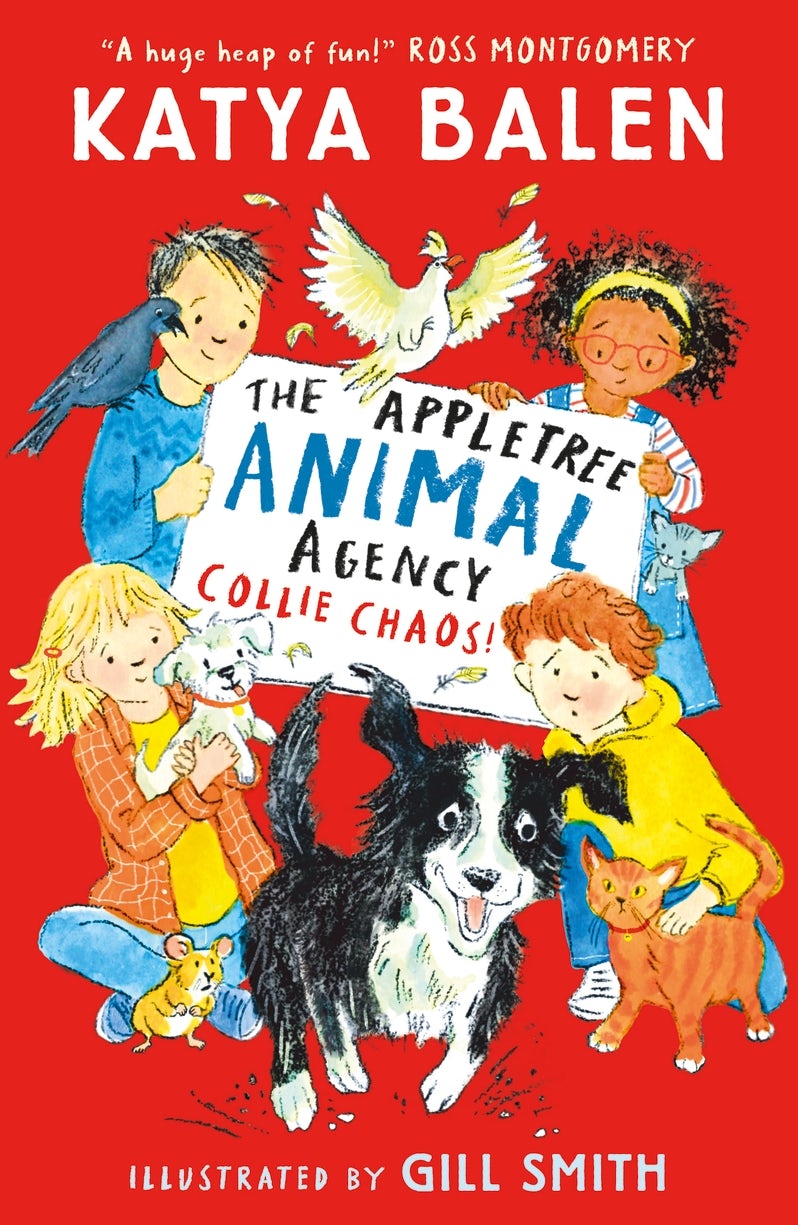 Cover image for The Appletree Animal Agency: Collie Chaos, isbn: 9781529529548