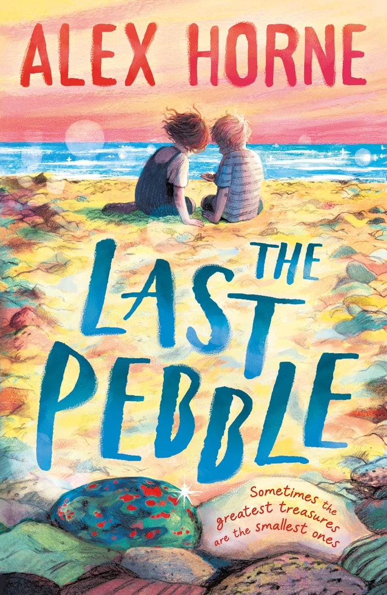 Cover image for The Last Pebble, isbn: 9781529529654