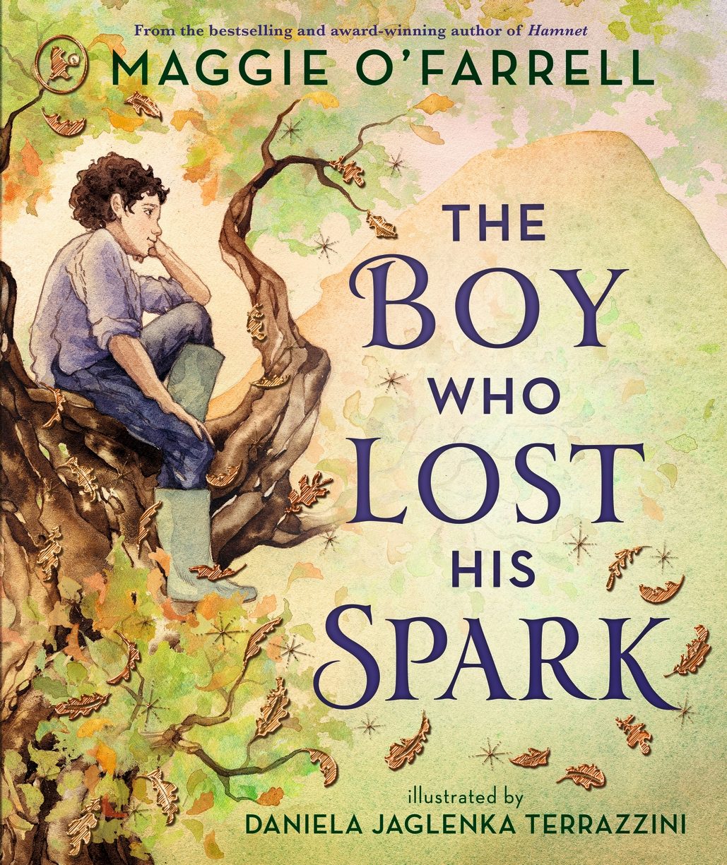 Cover image for The Boy Who Lost His Spark, isbn: 9781529529784