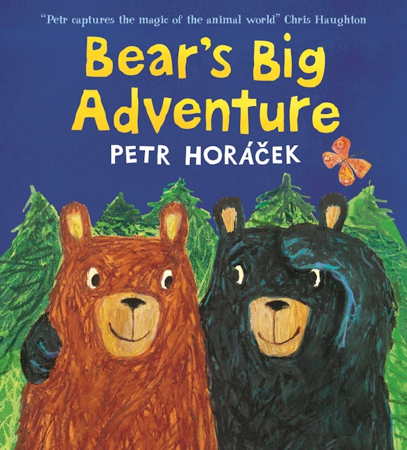 Cover image for Bear's Big Adventure, isbn: 9781529530469