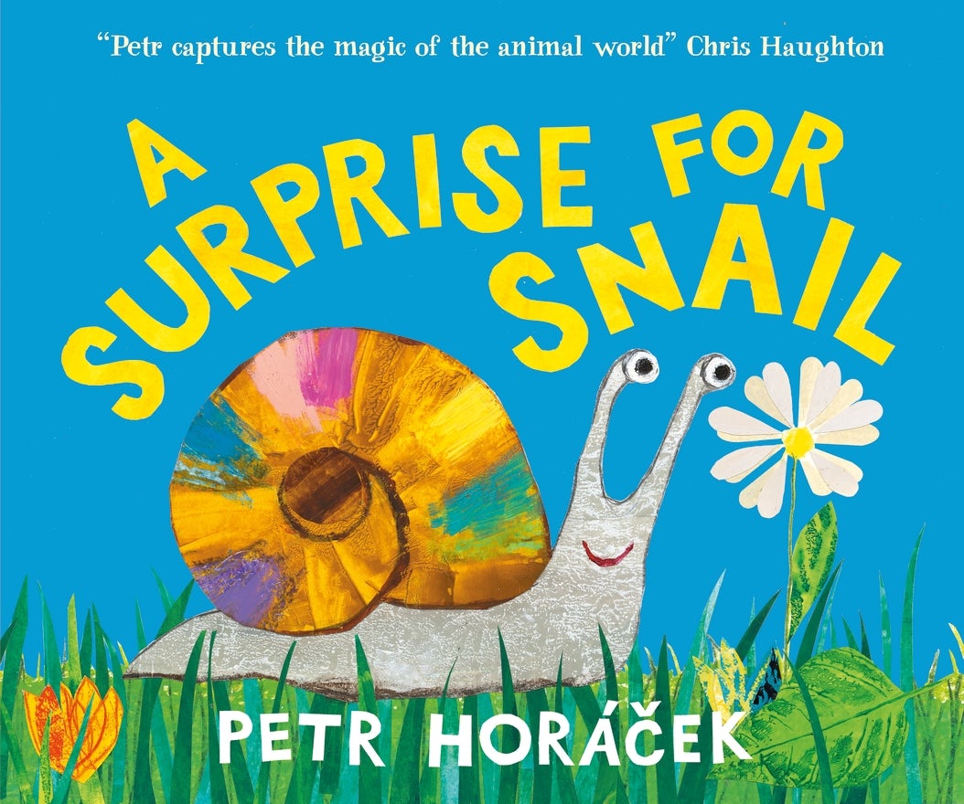Cover image for A Surprise for Snail, isbn: 9781529531831