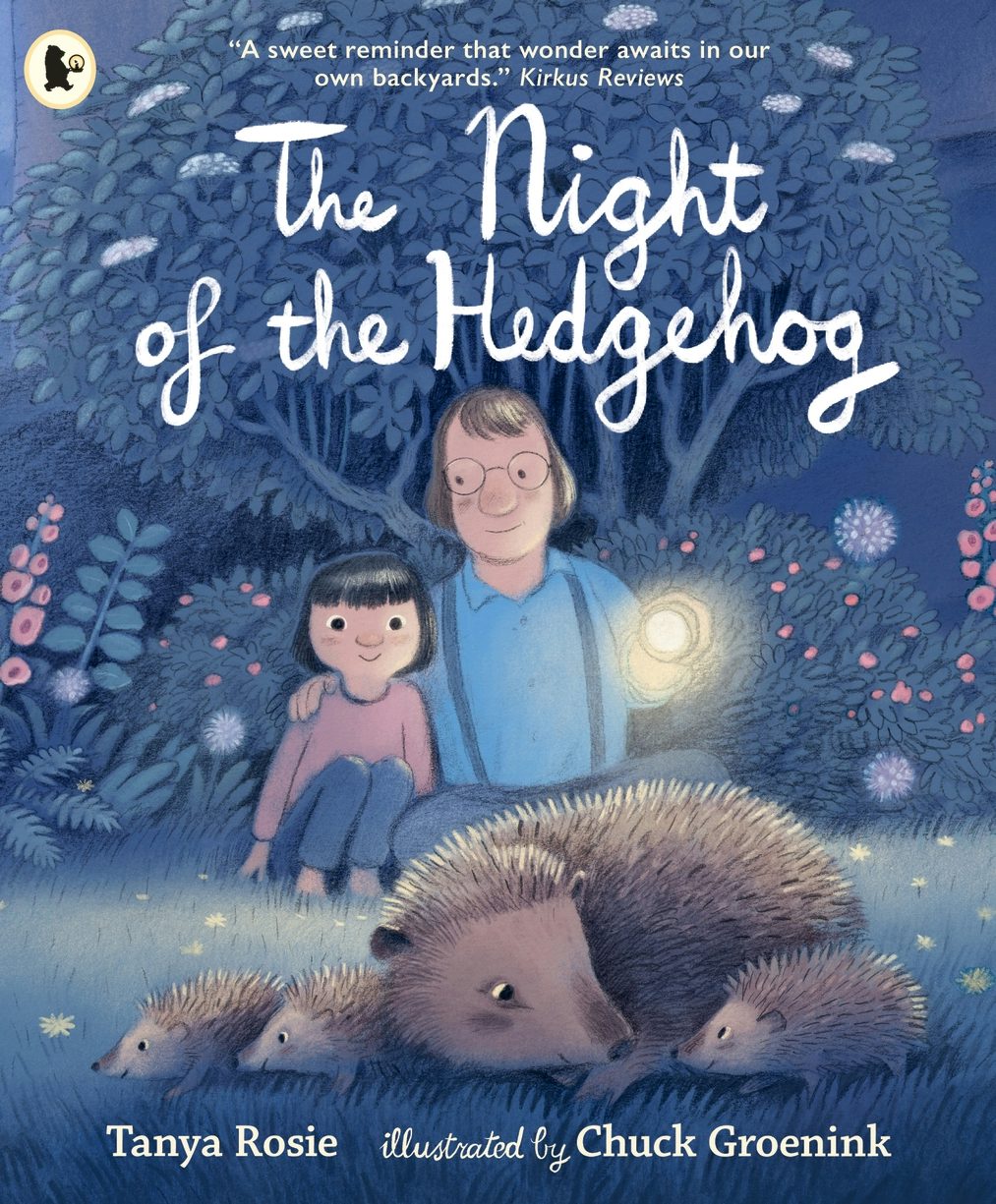 Cover image for The Night of the Hedgehog, isbn: 9781529532739