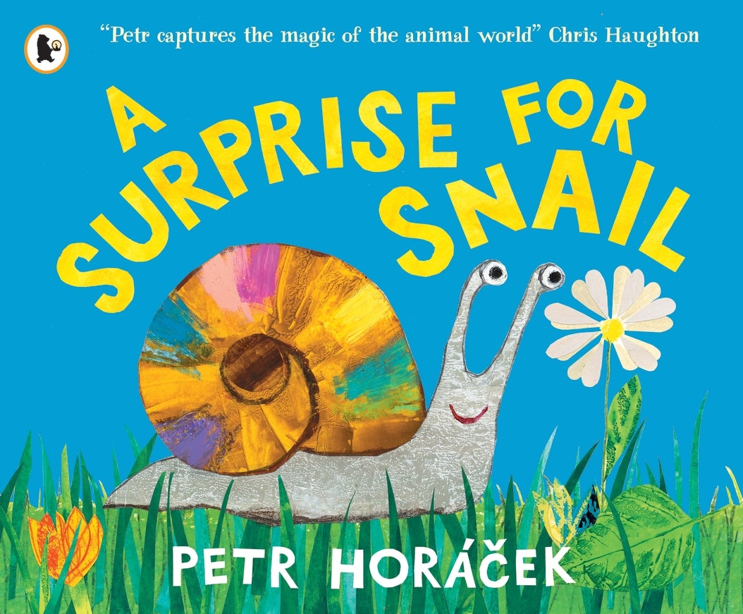 Cover image for A Surprise for Snail, isbn: 9781529535969