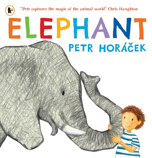 Cover image for Elephant, isbn: 9781529538854