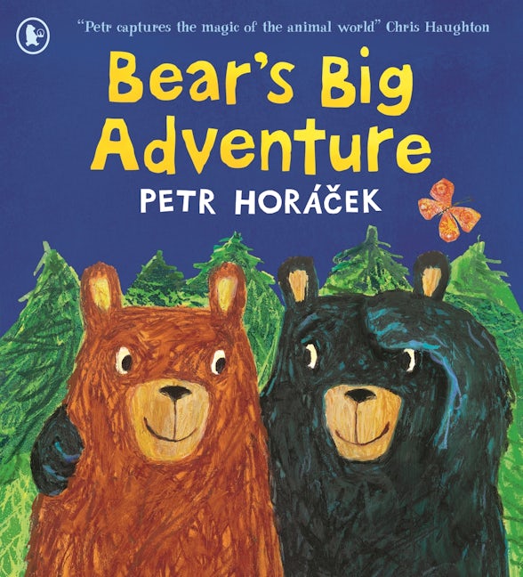 Cover image for Bear's Big Adventure, isbn: 9781529539905
